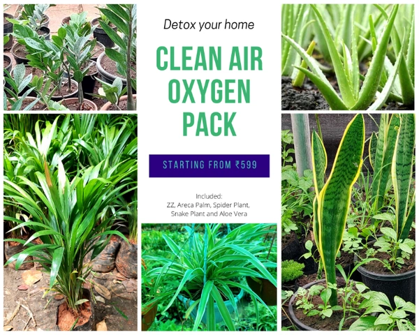 Clean Air Oxygen Pack